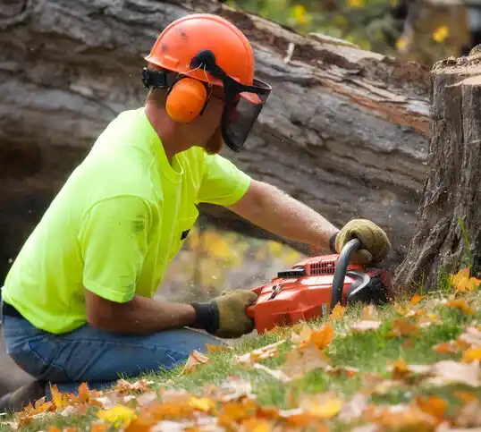 tree services Bland